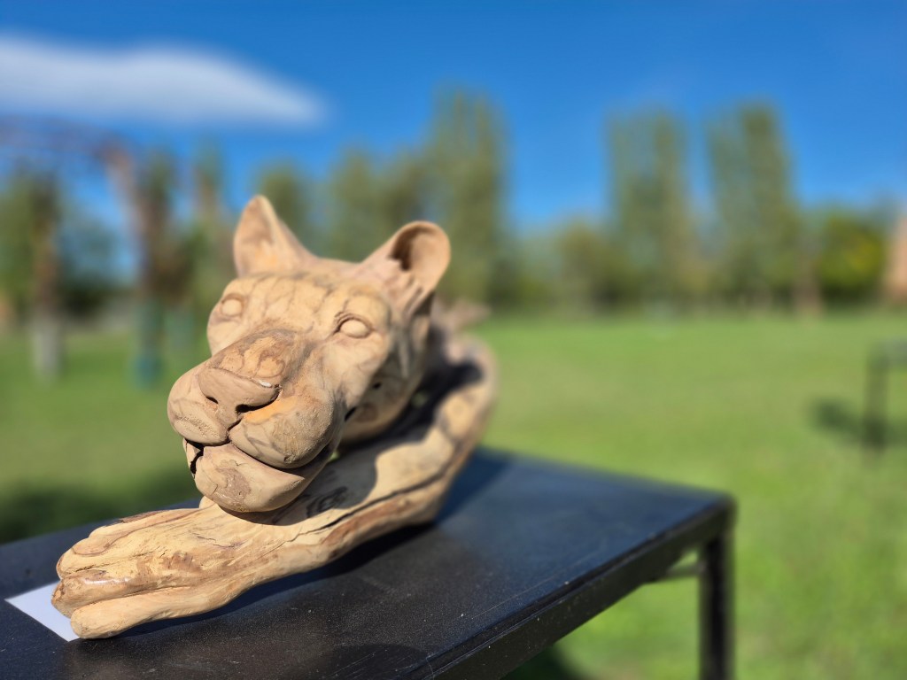 Découvrez Bétina Broussaud, sculptrice française du bois flotté : œuvres animalières puissantes, art éco-responsable et univers entre nature et métal.