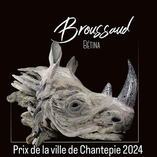 Découvrez Bétina Broussaud, sculptrice post-contemporaine du bois flotté, dont les œuvres hybrides (bois/métal) célèbrent l’animal et la nature. Biographie, œuvres majeures, expositions 2025, et analyse de son émergence sur le marché de l’art contemporain. Un art engagé, poétique et durable à collectionner