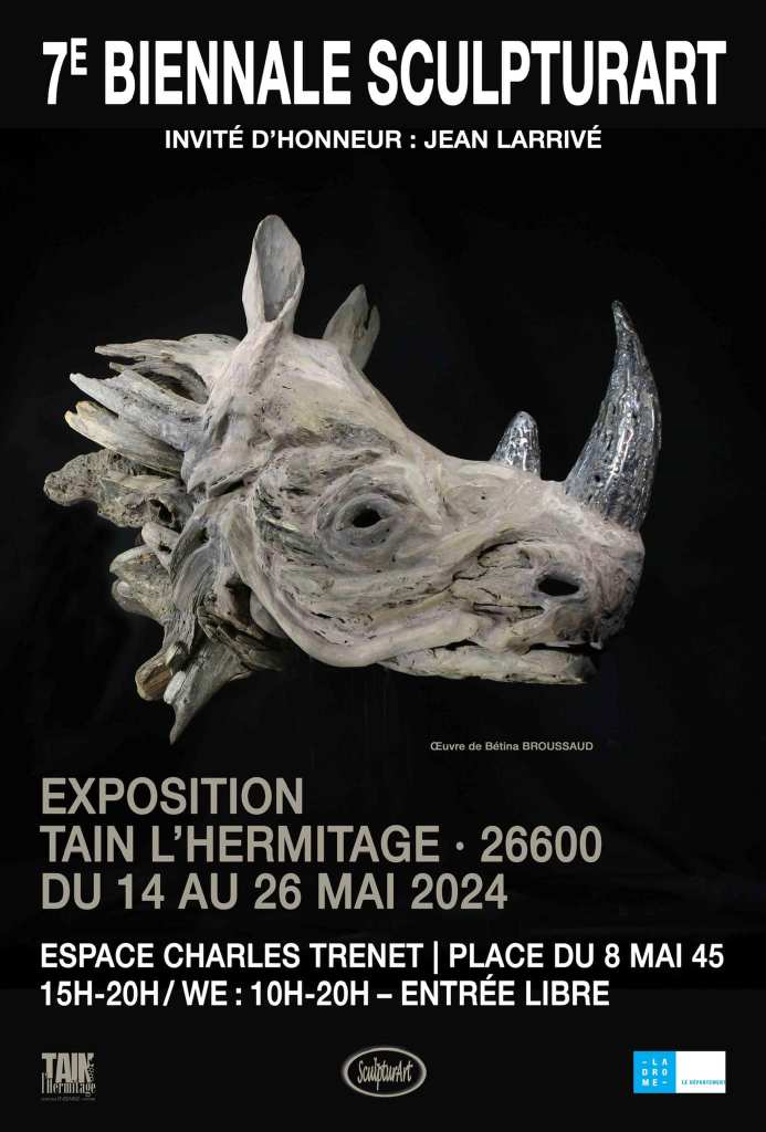 Découvrez Bétina Broussaud, sculptrice française du bois flotté : œuvres animalières puissantes, art éco-responsable et univers entre nature et métal.