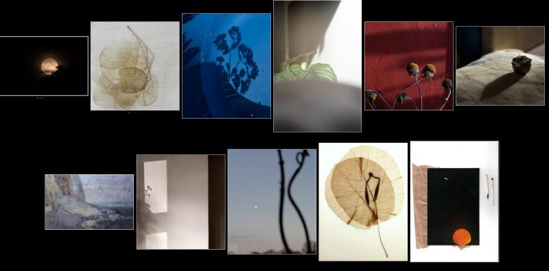 Charlotte Desnoë-Durande présente "La Faille et la Flore", une exposition photographique et poétique qui transforme la rupture en renaissance. Du 15 au 16 novembre 2025 à Liège, découvrez un univers où herbiers artistiques et photographie argentique dialoguent avec la mémoire familiale.