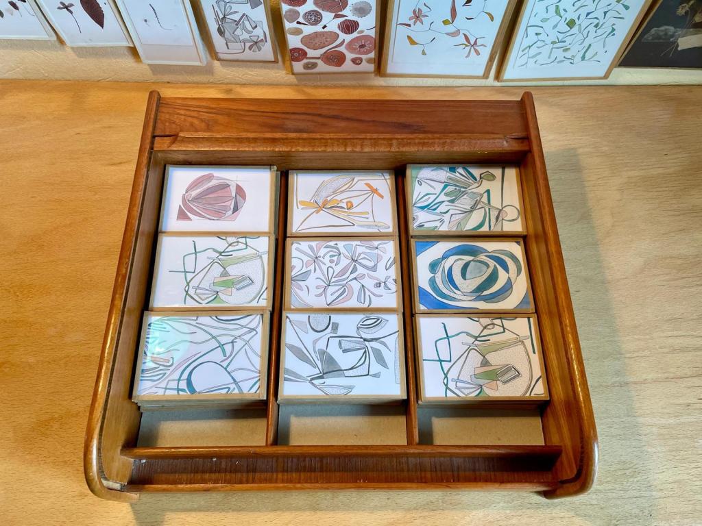 Charlotte Desnoë-Durande présente "La Faille et la Flore", une exposition photographique et poétique qui transforme la rupture en renaissance. Du 15 au 16 novembre 2025 à Liège, découvrez un univers où herbiers artistiques et photographie argentique dialoguent avec la mémoire familiale.